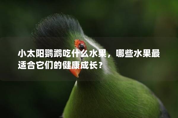 小太阳鹦鹉吃什么水果，哪些水果最适合它们的健康成长？