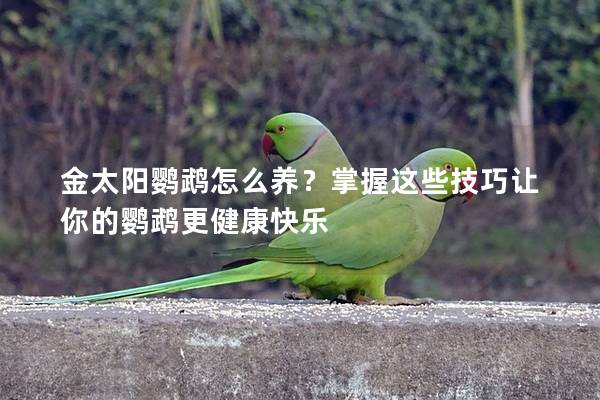 金太阳鹦鹉怎么养？掌握这些技巧让你的鹦鹉更健康快乐