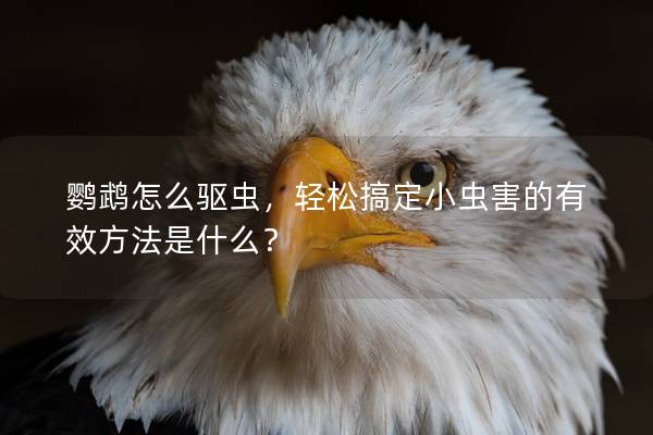 鹦鹉怎么驱虫，轻松搞定小虫害的有效方法是什么？