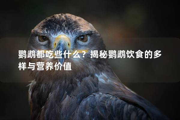 鹦鹉都吃些什么？揭秘鹦鹉饮食的多样与营养价值