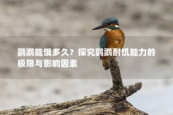 鹦鹉能饿多久？探究鹦鹉耐饥能力的极限与影响因素