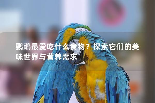 鹦鹉最爱吃什么食物？探索它们的美味世界与营养需求