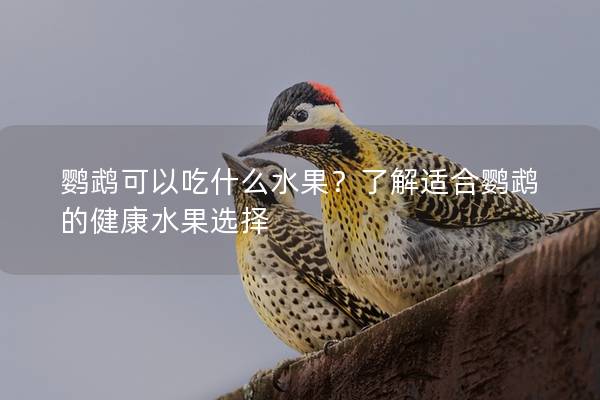鹦鹉可以吃什么水果？了解适合鹦鹉的健康水果选择