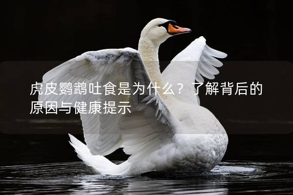 虎皮鹦鹉吐食是为什么？了解背后的原因与健康提示