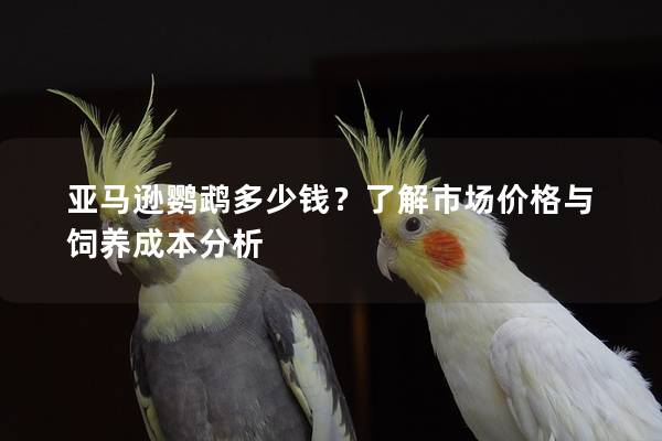 亚马逊鹦鹉多少钱？了解市场价格与饲养成本分析
