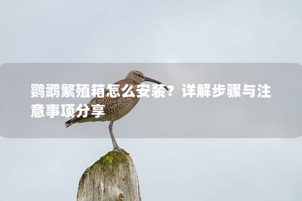 鹦鹉繁殖箱怎么安装？详解步骤与注意事项分享