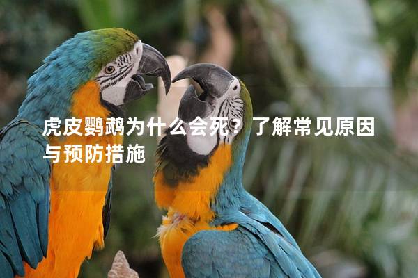 虎皮鹦鹉为什么会死？了解常见原因与预防措施