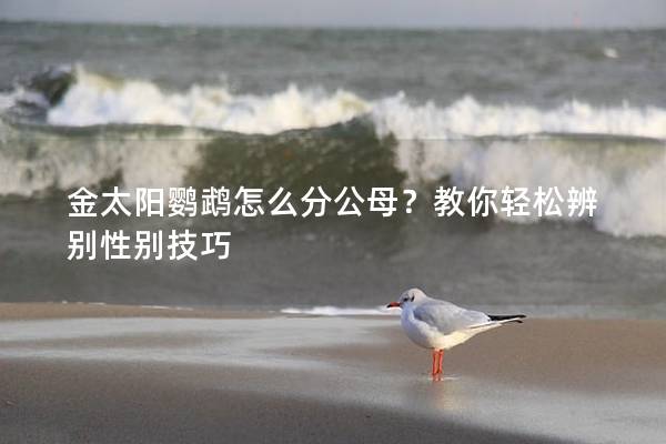 金太阳鹦鹉怎么分公母？教你轻松辨别性别技巧