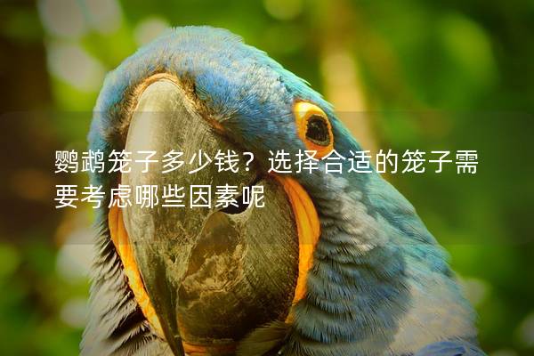 鹦鹉笼子多少钱？选择合适的笼子需要考虑哪些因素呢