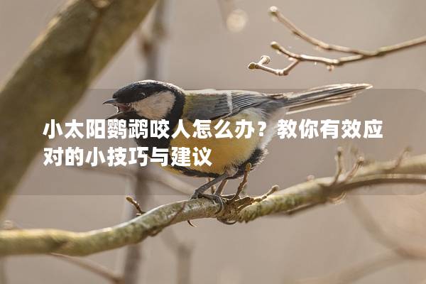 小太阳鹦鹉咬人怎么办？教你有效应对的小技巧与建议