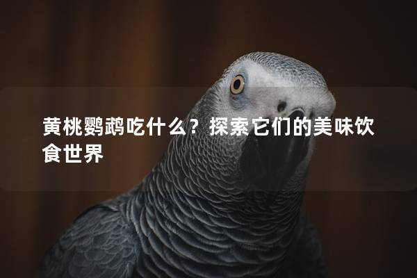 黄桃鹦鹉吃什么？探索它们的美味饮食世界