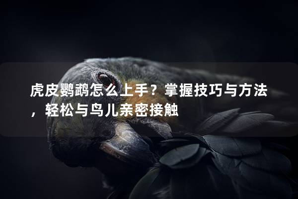 虎皮鹦鹉怎么上手？掌握技巧与方法，轻松与鸟儿亲密接触