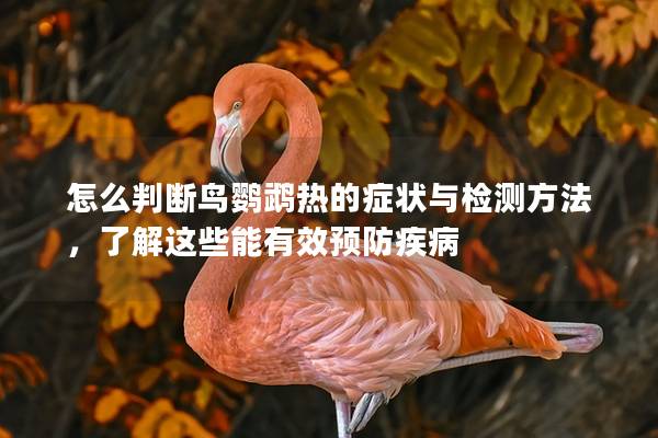怎么判断鸟鹦鹉热的症状与检测方法，了解这些能有效预防疾病