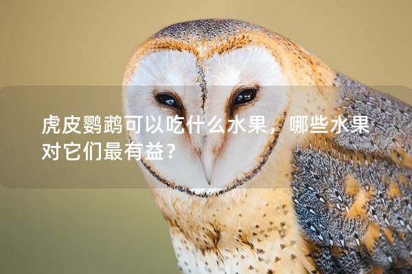 虎皮鹦鹉可以吃什么水果，哪些水果对它们最有益？