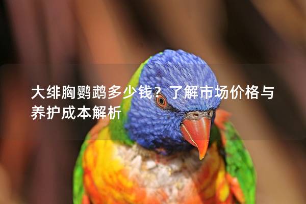 大绯胸鹦鹉多少钱？了解市场价格与养护成本解析