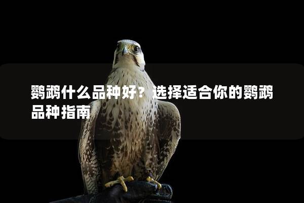 鹦鹉什么品种好？选择适合你的鹦鹉品种指南