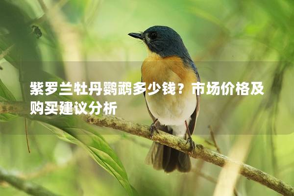 紫罗兰牡丹鹦鹉多少钱？市场价格及购买建议分析