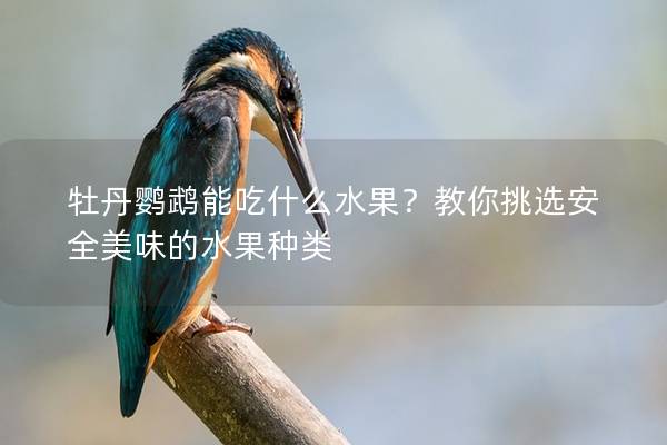牡丹鹦鹉能吃什么水果？教你挑选安全美味的水果种类