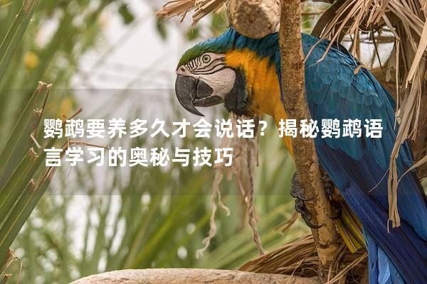 鹦鹉要养多久才会说话？揭秘鹦鹉语言学习的奥秘与技巧