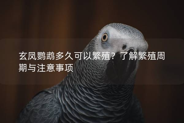 玄凤鹦鹉多久可以繁殖？了解繁殖周期与注意事项