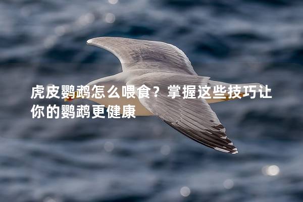 虎皮鹦鹉怎么喂食？掌握这些技巧让你的鹦鹉更健康