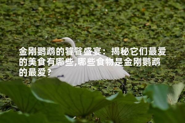 金刚鹦鹉的饕餮盛宴：揭秘它们最爱的美食有哪些,哪些食物是金刚鹦鹉的最爱？