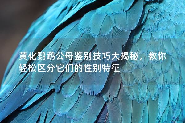 黄化鹦鹉公母鉴别技巧大揭秘，教你轻松区分它们的性别特征