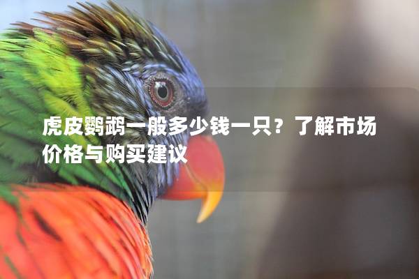 虎皮鹦鹉一般多少钱一只？了解市场价格与购买建议