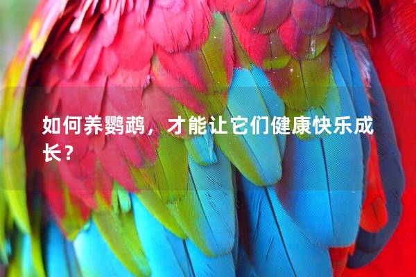 如何养鹦鹉，才能让它们健康快乐成长？