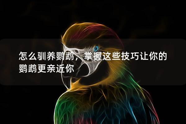 怎么驯养鹦鹉，掌握这些技巧让你的鹦鹉更亲近你