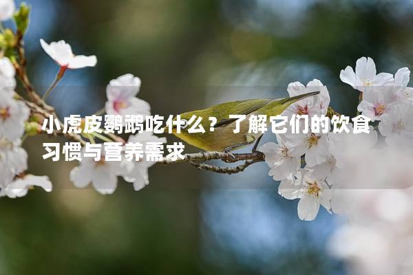 小虎皮鹦鹉吃什么？了解它们的饮食习惯与营养需求