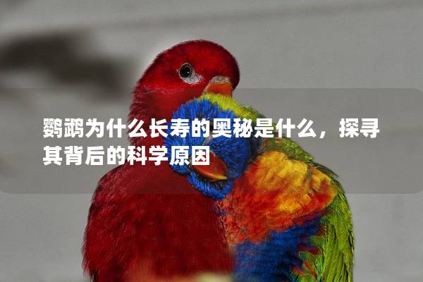 鹦鹉为什么长寿的奥秘是什么，探寻其背后的科学原因