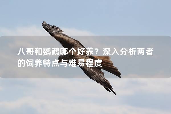 八哥和鹦鹉哪个好养？深入分析两者的饲养特点与难易程度