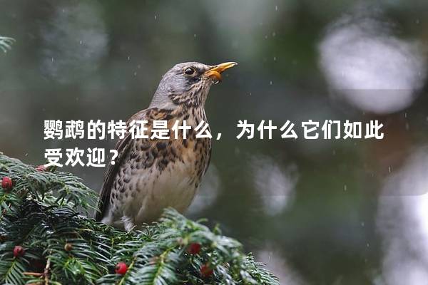 鹦鹉的特征是什么，为什么它们如此受欢迎？
