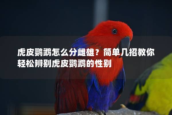 虎皮鹦鹉怎么分雌雄？简单几招教你轻松辨别虎皮鹦鹉的性别