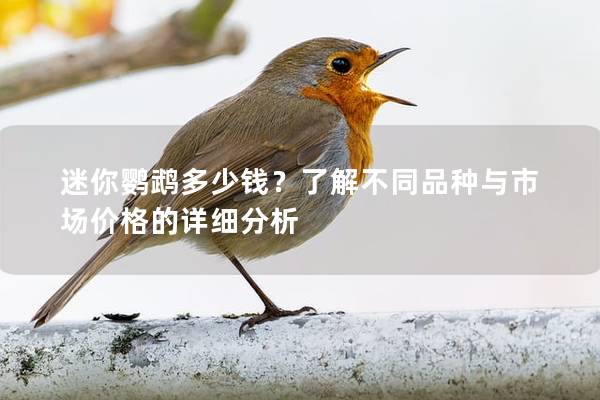 迷你鹦鹉多少钱？了解不同品种与市场价格的详细分析