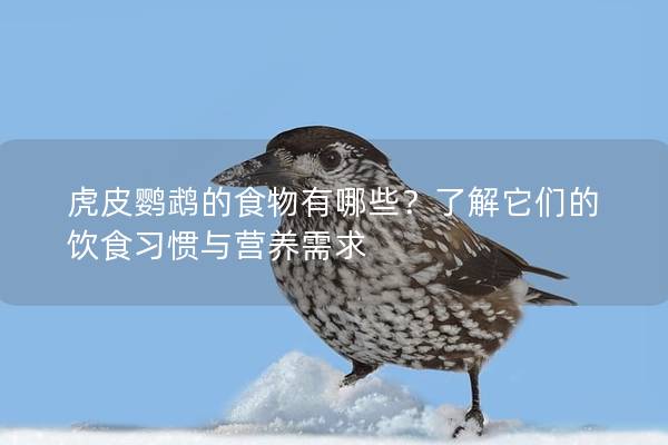 虎皮鹦鹉的食物有哪些？了解它们的饮食习惯与营养需求