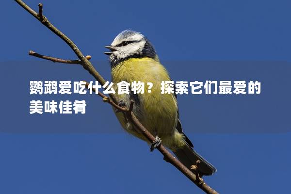 鹦鹉爱吃什么食物？探索它们最爱的美味佳肴