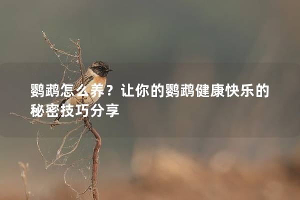 鹦鹉怎么养？让你的鹦鹉健康快乐的秘密技巧分享