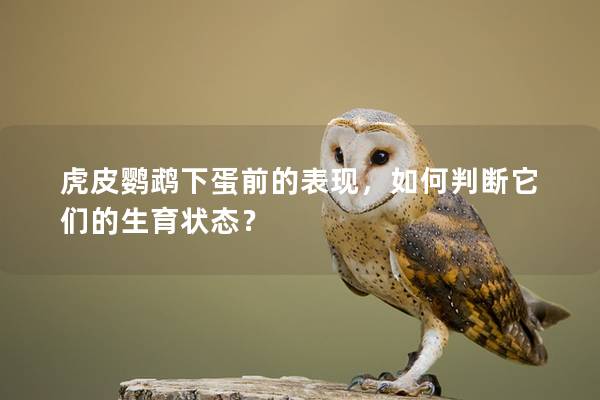 虎皮鹦鹉下蛋前的表现，如何判断它们的生育状态？