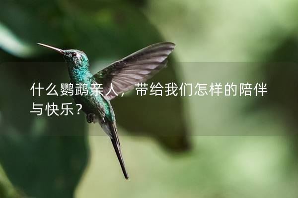 什么鹦鹉亲人，带给我们怎样的陪伴与快乐？