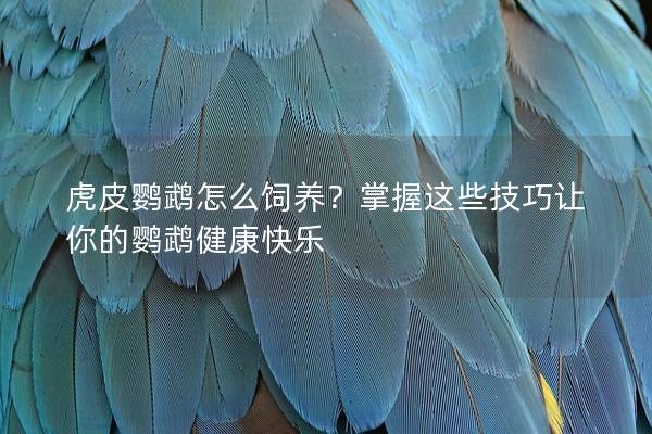 虎皮鹦鹉怎么饲养？掌握这些技巧让你的鹦鹉健康快乐