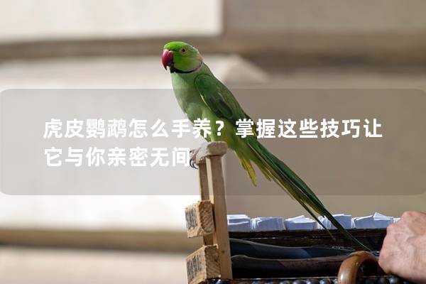 虎皮鹦鹉怎么手养？掌握这些技巧让它与你亲密无间