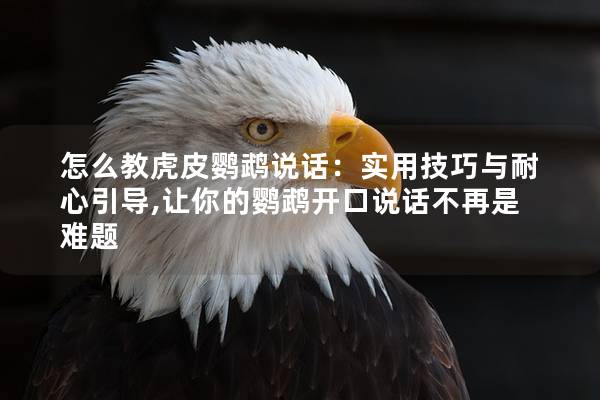 怎么教虎皮鹦鹉说话：实用技巧与耐心引导,让你的鹦鹉开口说话不再是难题