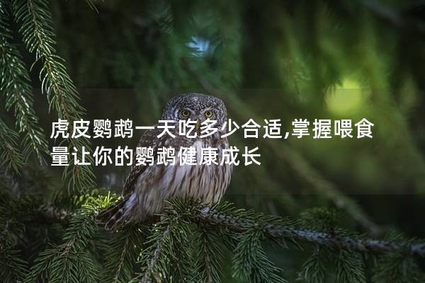 虎皮鹦鹉一天吃多少合适,掌握喂食量让你的鹦鹉健康成长