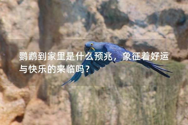 鹦鹉到家里是什么预兆，象征着好运与快乐的来临吗？