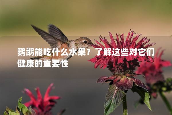 鹦鹉能吃什么水果？了解这些对它们健康的重要性