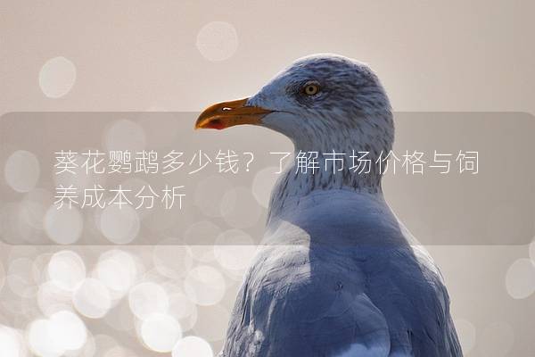 葵花鹦鹉多少钱？了解市场价格与饲养成本分析