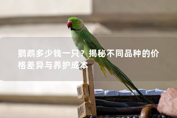鹦鹉多少钱一只？揭秘不同品种的价格差异与养护成本
