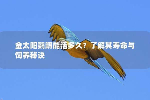 金太阳鹦鹉能活多久？了解其寿命与饲养秘诀